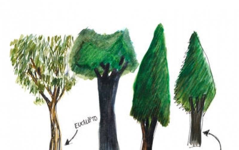 Hoy celebramos el Día Forestal Mundial