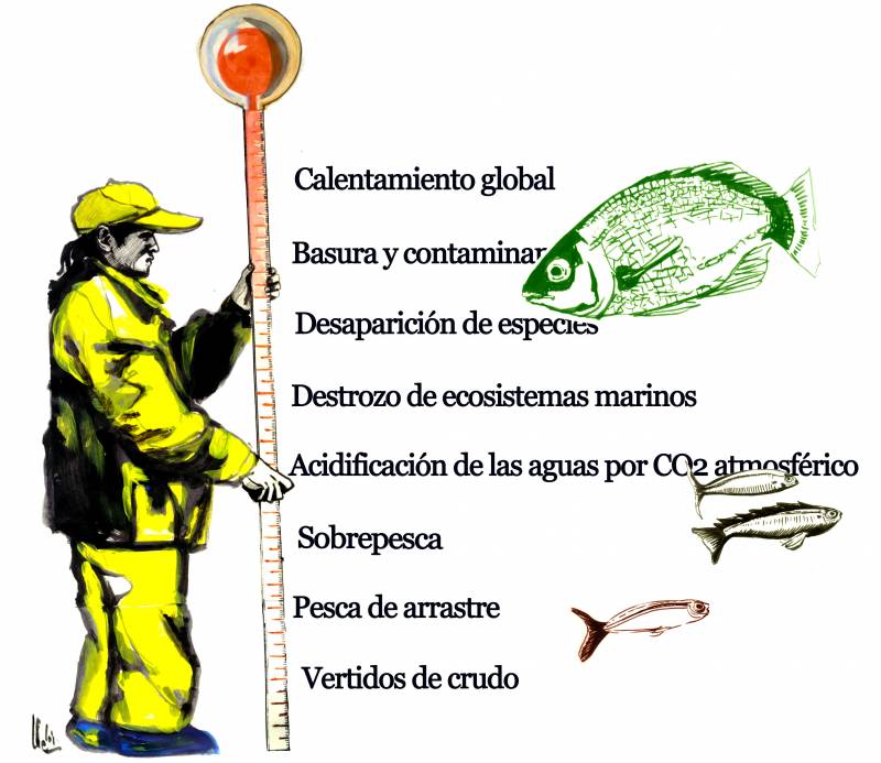 ¿Podrán los océanos ayudar a alimentar a la humanidad en el futuro?