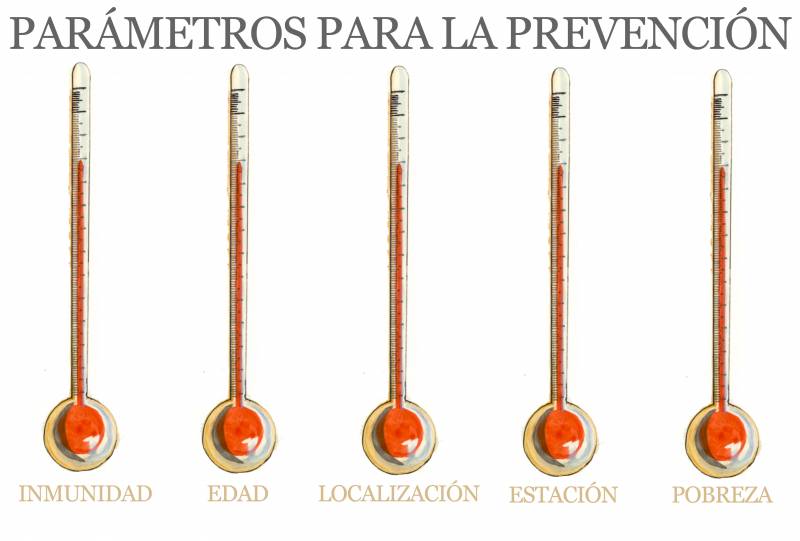 Proponen un modelo matemático para la gestión sanitaria del virus H1N1