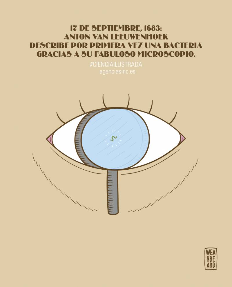 Van Leeuwenhoek sienta las bases de la microbiología experimental 