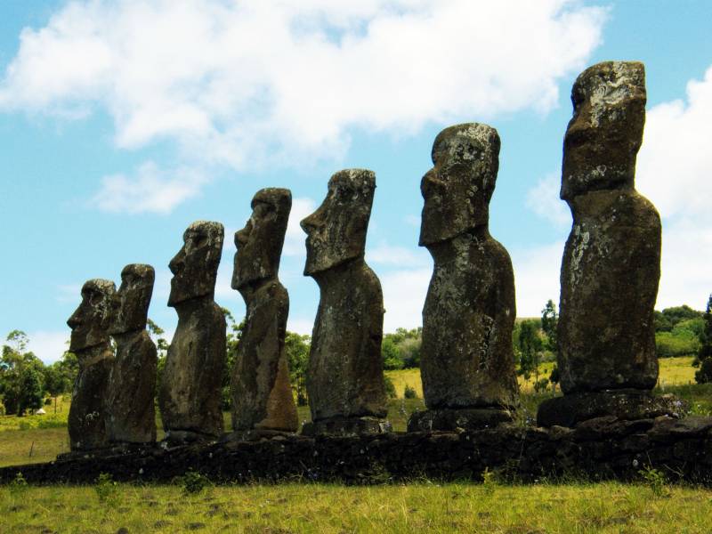 Consiguen prolongar la vida de los ratones con un compuesto de la isla de Pascua