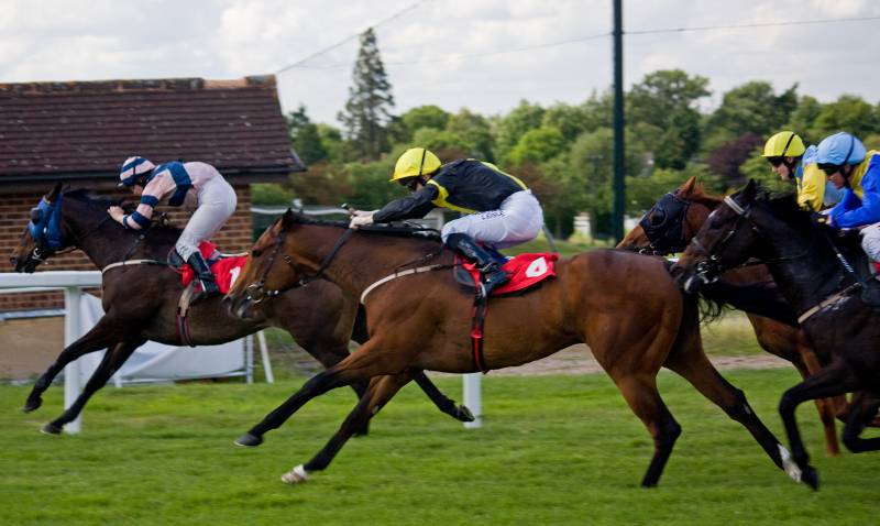 Caballos de carreras, apuesta y desafío