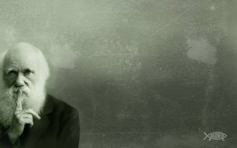 Charles Darwin sí tenía una teoría sobre el origen de la vida.