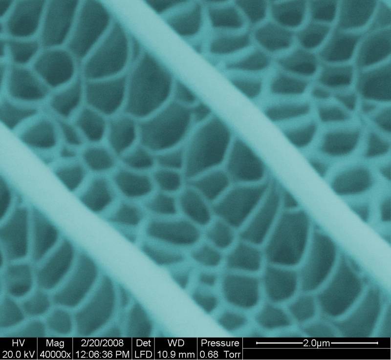 Crean alas de mariposa nanométricas