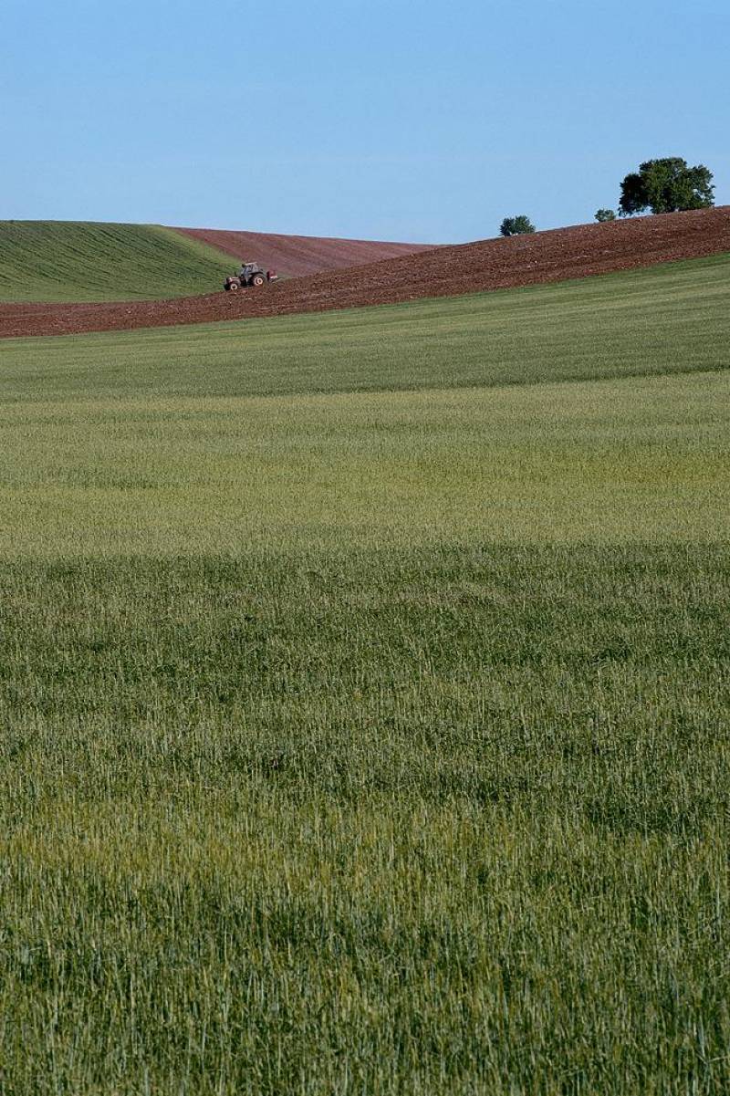 De la cultura rural al desarrollo sostenible