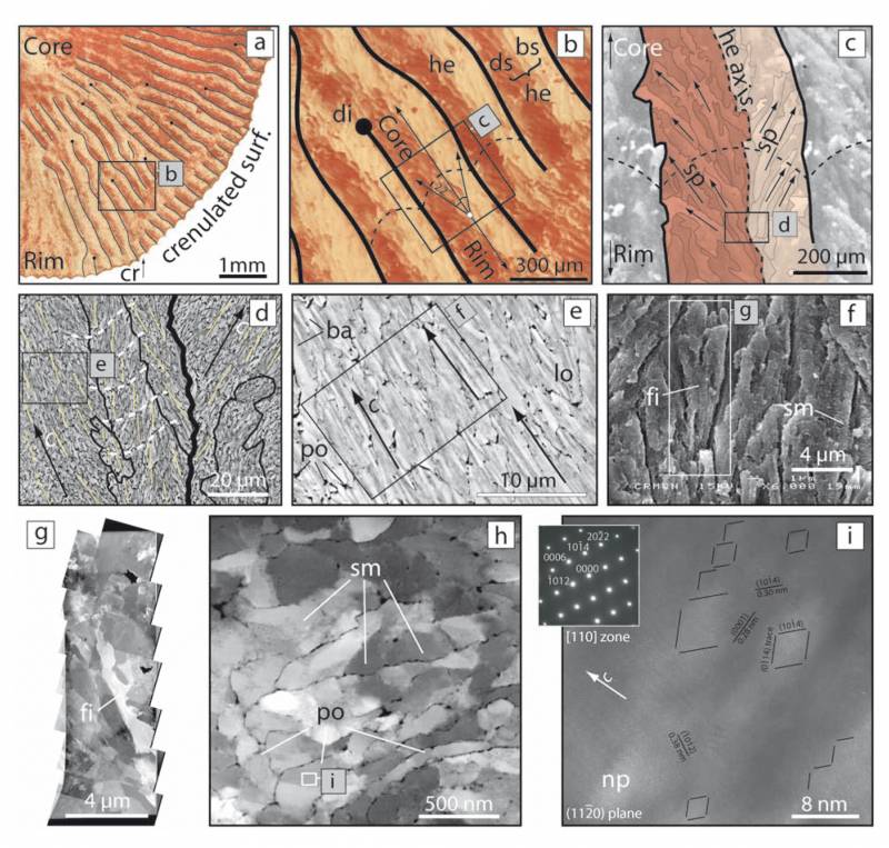 Descubren los secretos cristalográficos del coral rojo