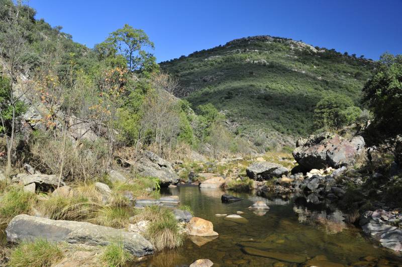 El Gobierno español promueve la protección de la biodiversidad