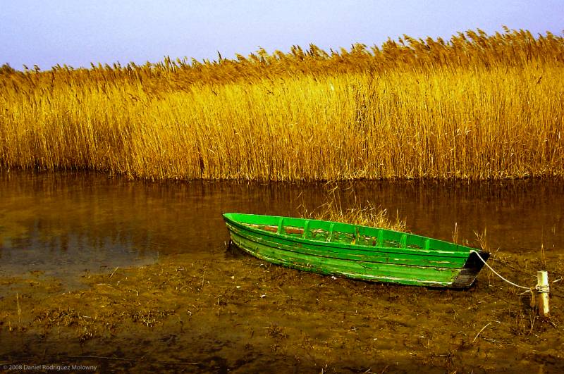 Parque Nacional de las Tablas de Daimiel.