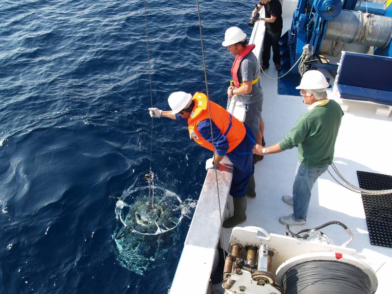 El Mediterráneo occidental es cada vez más caliente y salado