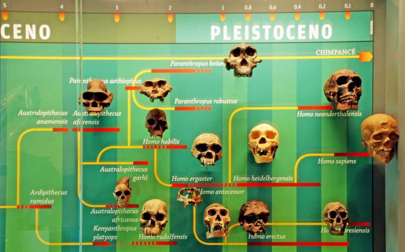 El Museo Nacional de Ciencia Naturales celebra el 200 aniversario de Darwin con una exposición