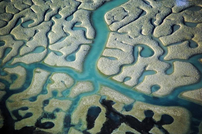 Desvelan la armonía fractal de Doñana