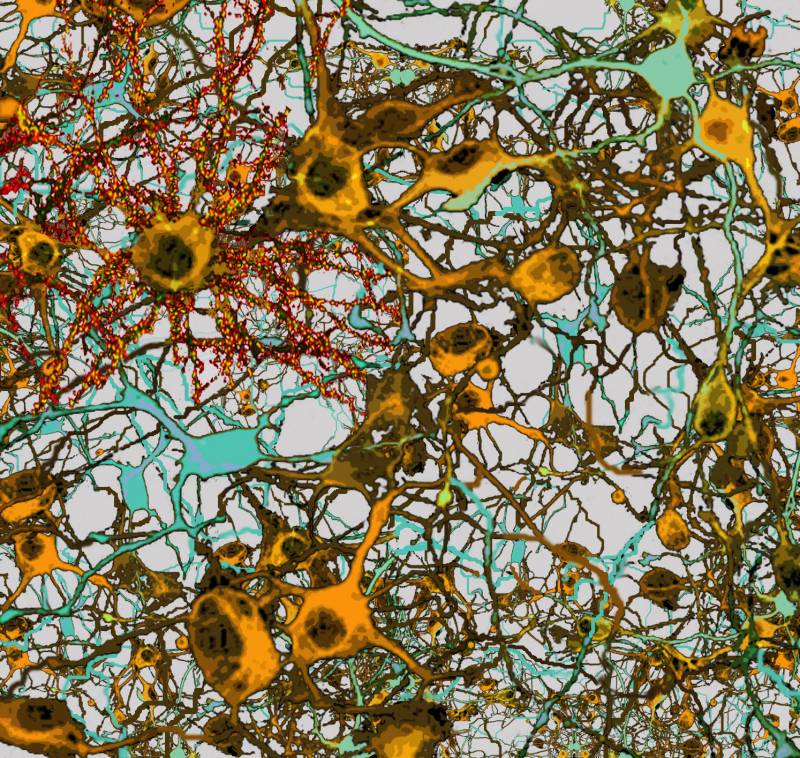 Hacia una nueva generación de neuro-ordenadores