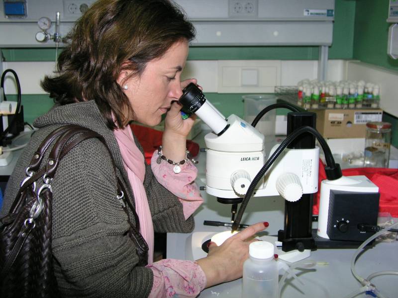Jornada de puertas abiertas del Centro Andaluz de Biología del Desarrollo 