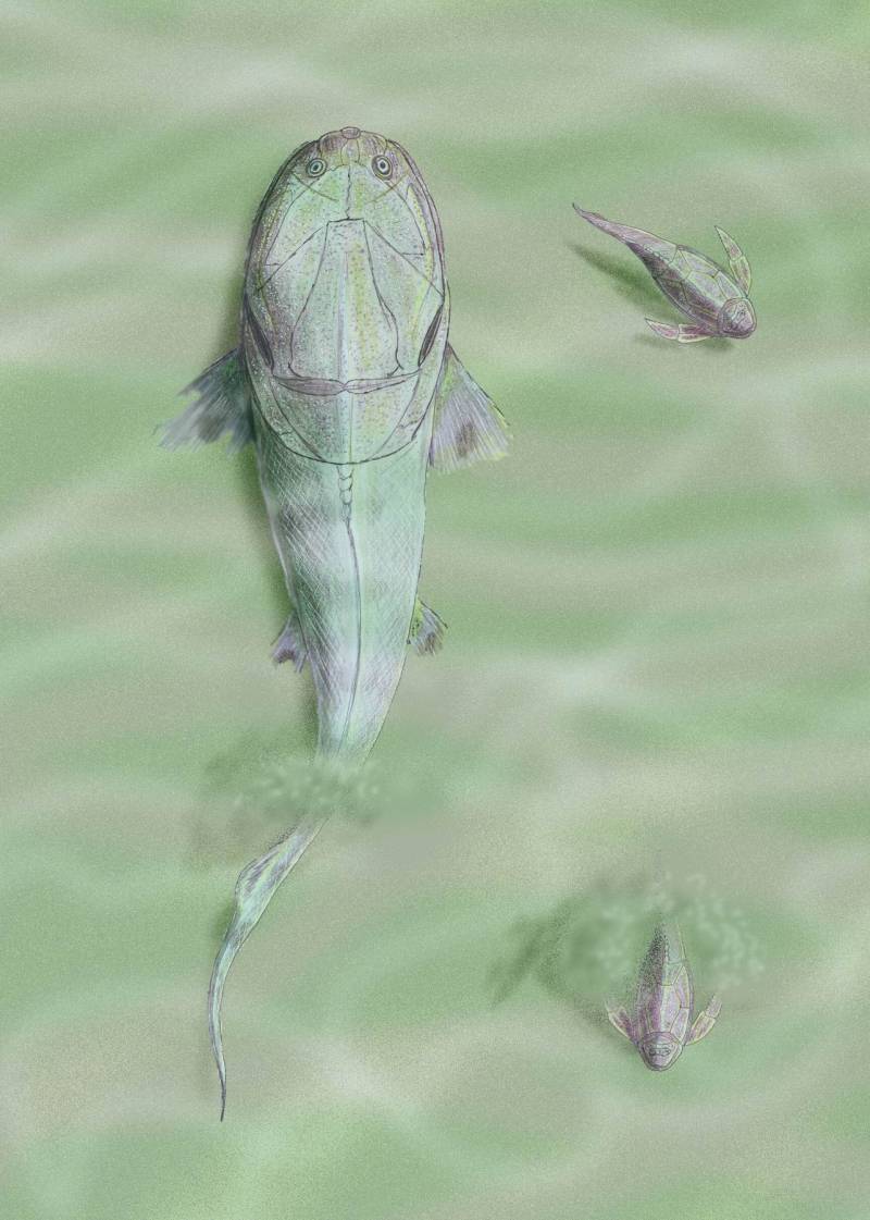 La extinción de los peces prehistóricos allanó el camino a los vertebrados modernos