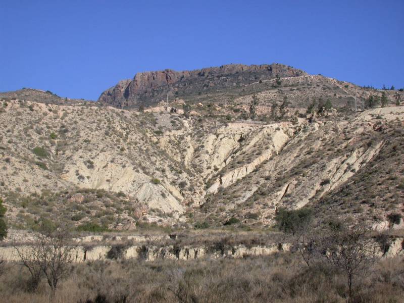 La vegetación perenne, un indicador de la desertificación en España