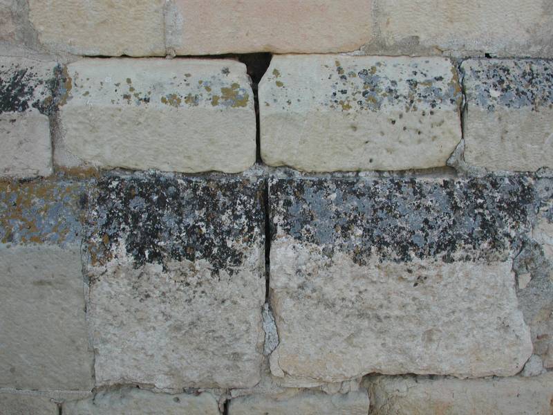 Muestra del biodeterioro que provocan los líquenes en la piedra. 