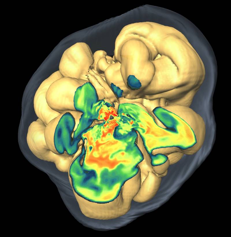 Simulación en 3D de una explosión unos 0,5 segundos después de que rebote el núcleo.