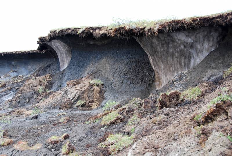 Un atlas recoge el papel decisivo de los suelos del norte de Europa en el cambio climático
