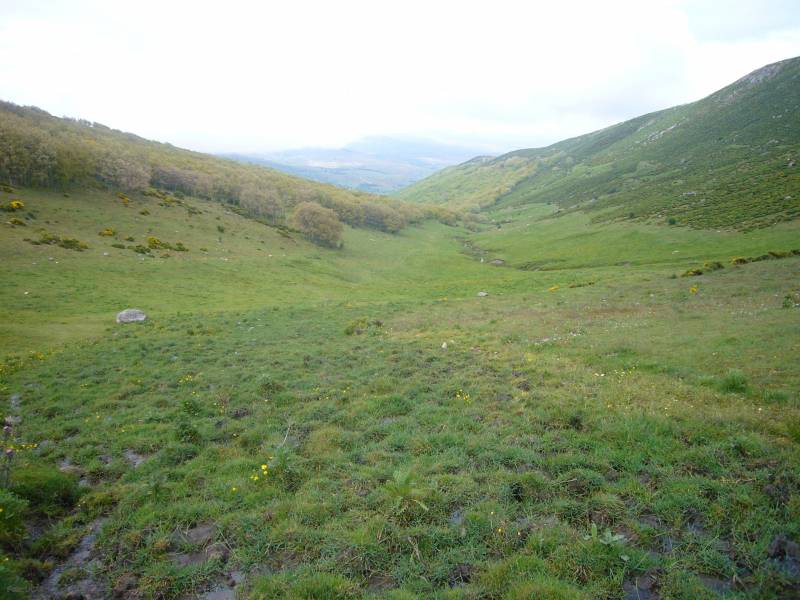 Un estudio etnoecológico identifica plantas silvestres comestibles de Ávila