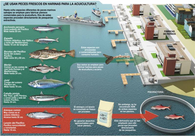 Infografía