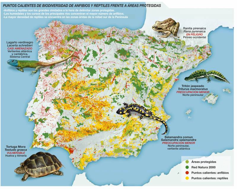 El 95% de los ‘puntos calientes’ de vertebrados ibéricos no están protegidos