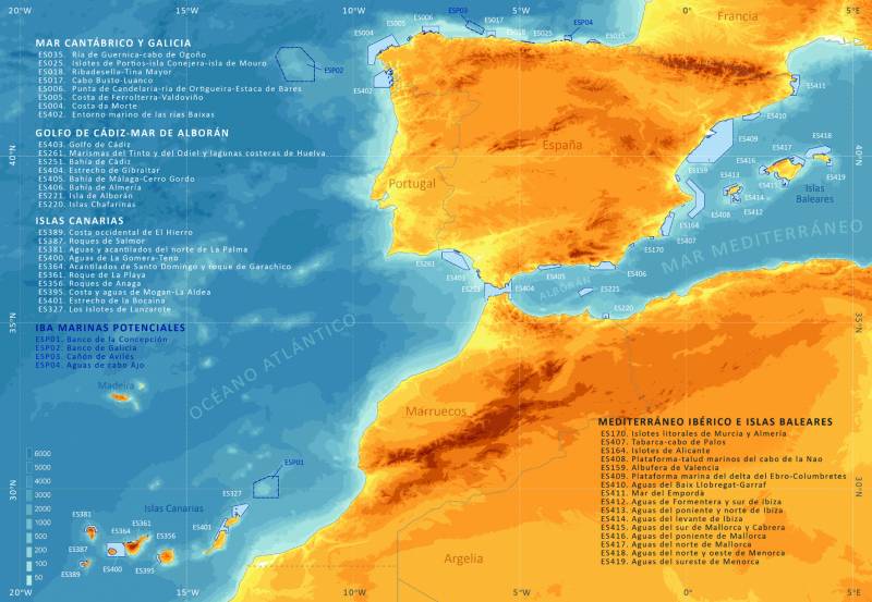 Primer inventario nacional de aves marinas.