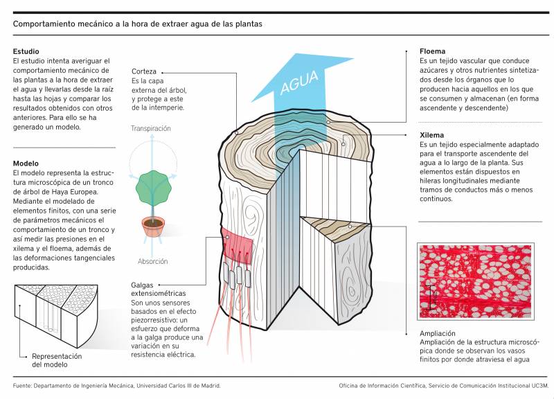 Infografía mecánica plantas