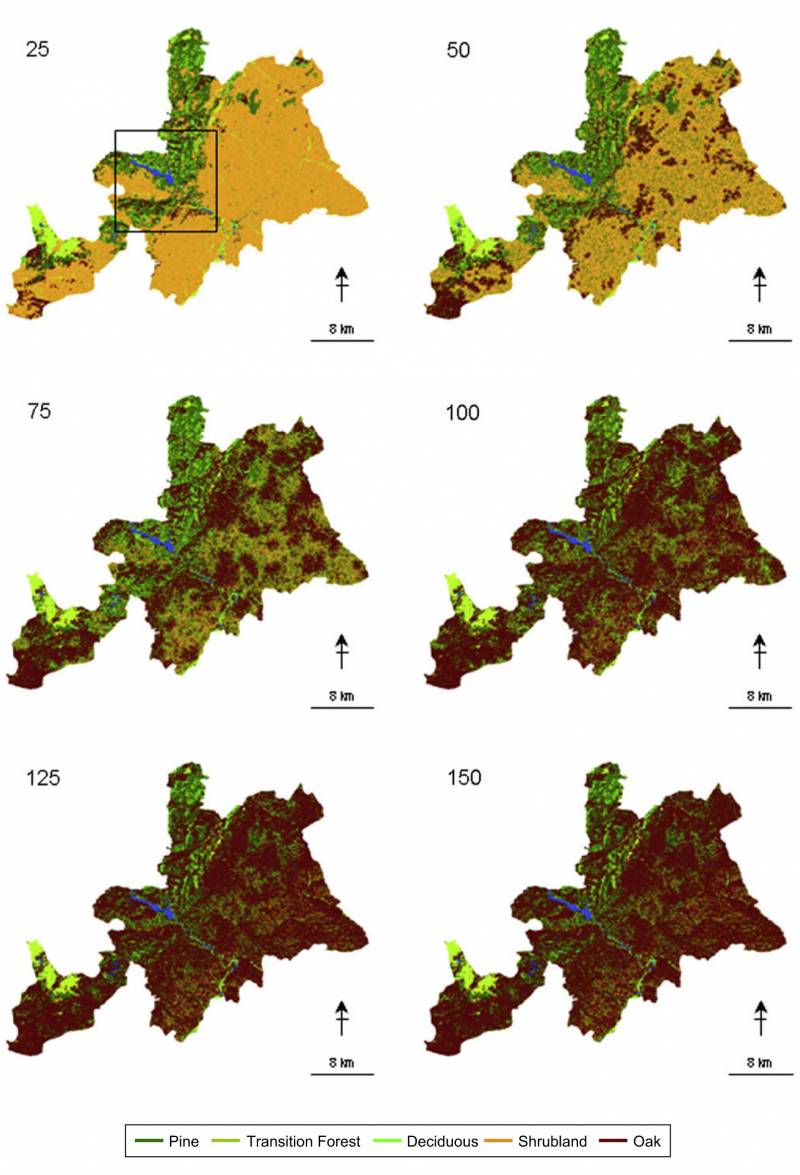 Un modelo predice la evolución del paisaje mediterráneo tras los incendios