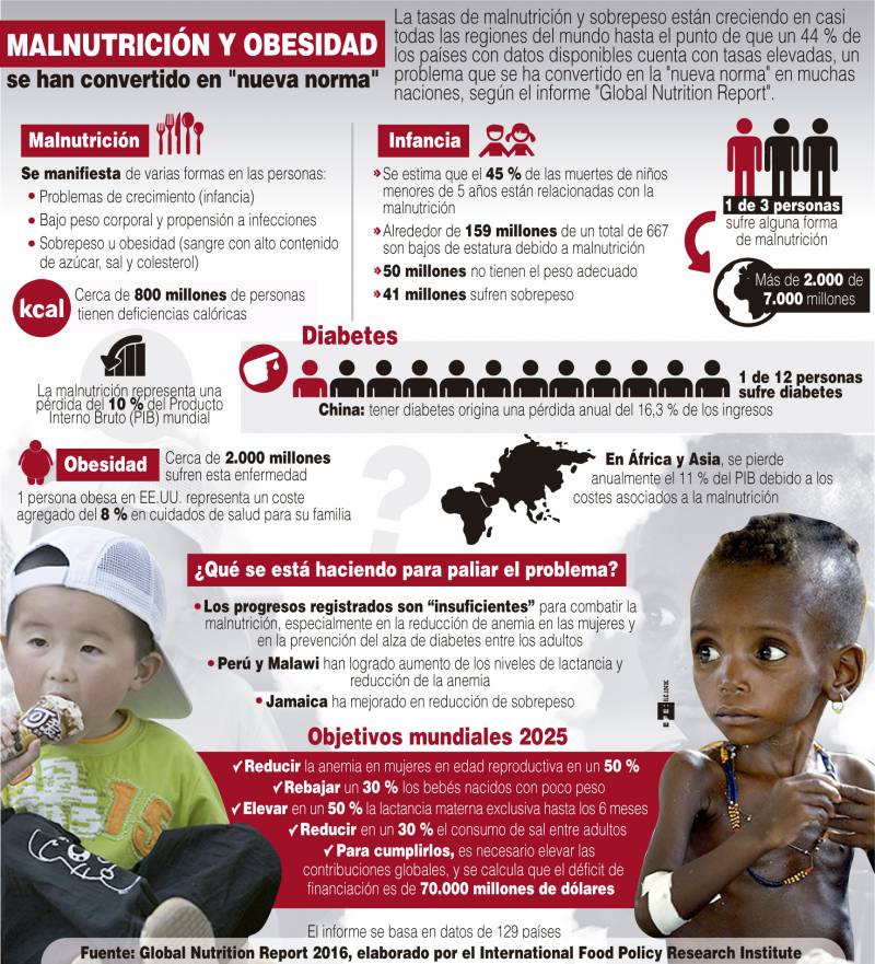 Infografía realizada a partir de los datos del Global Nutrition Report. /Efe