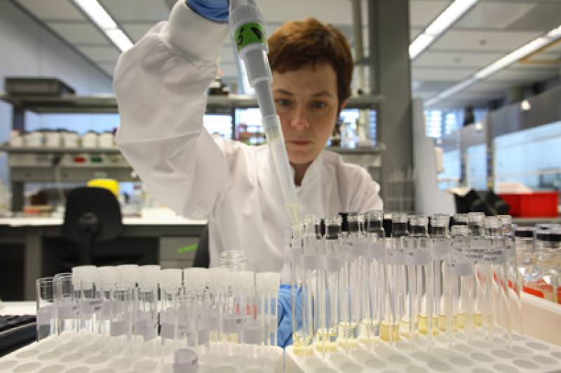 laboratorio