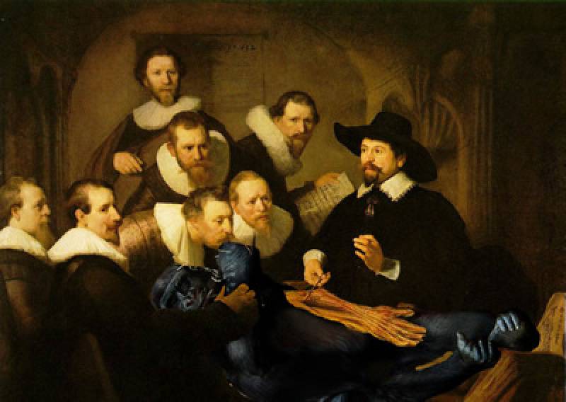 ‘Lección de anatomía’