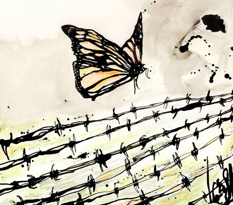 Mariposas monarca
