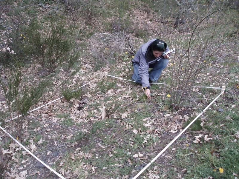 Beatriz Gómez realizando mediciones.