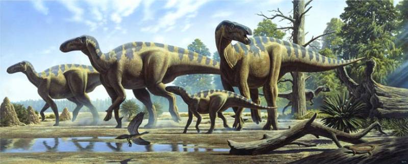 Iguanodontes