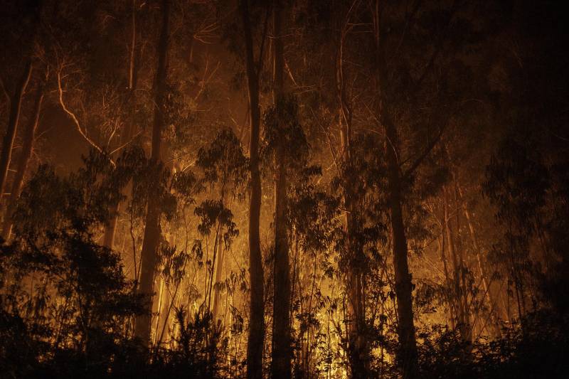  incendio forestal en As Neves 
