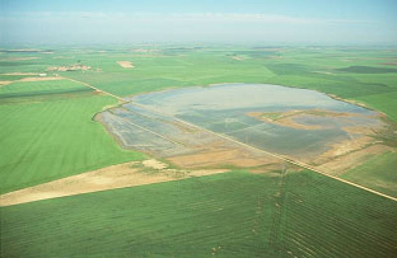 El humedal es el segundo enclave más importante de la Península Ibérica para la invernada del ánsar común.