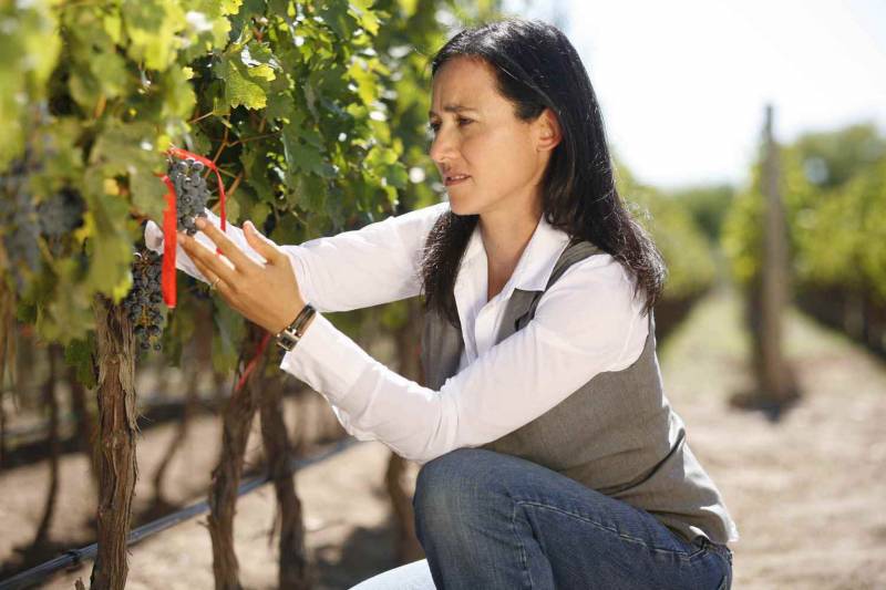 Laura Catena en el viñedo