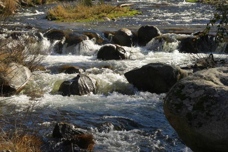 Un estudio aborda la biogeografía de la Sierra de Villafranca, en Ávila.