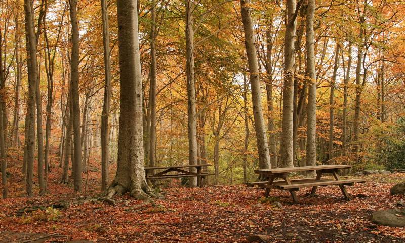 Otoño en el Moncayo