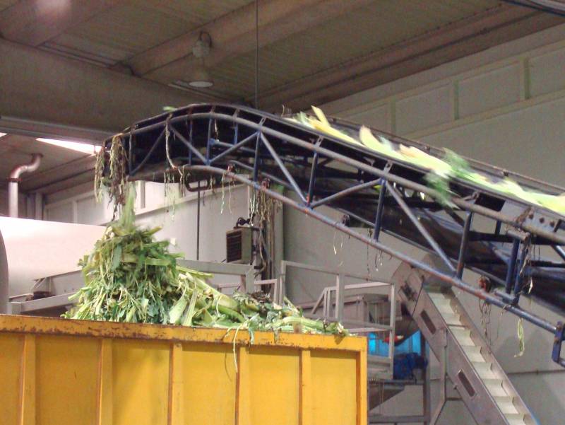Tratamiento de subproductos vegetales para su valorización