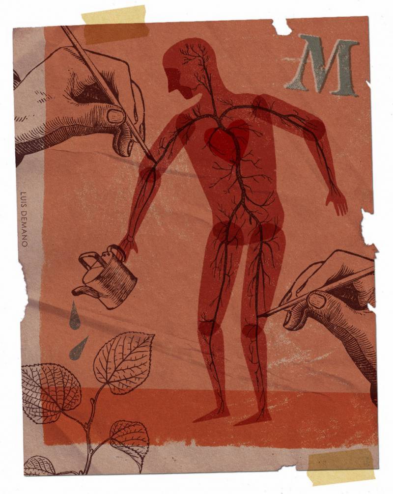 Collage artísitco que representa el transplante de nervios