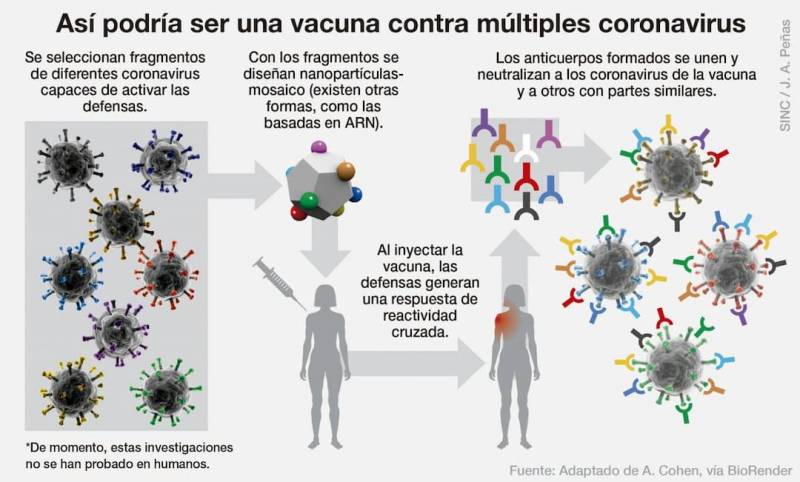 Imagen del funcionamiento de un multivacuna