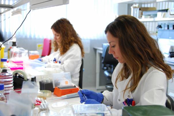 Desde 2015, el laboratorio cuenta con más de 700 cepas secuenciadas. / María Marín