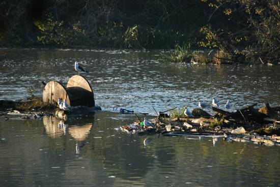 Río Tajo a su paso por Toledo / Elvira S. Uzábal - elbeewa