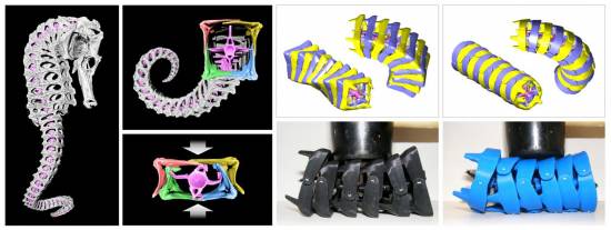 Los esqueletos de los caballitos de mar están compuestos por placas óseas altamente articuladas que rodean una columna vertebral central. Derecha: prototipos. / Michael Porter/Clemson University/UC San Diego