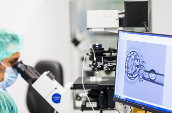 La fecundación de óvulos puede llevarse a cabo mediante FIV convencional o inyección intracitoplasmática de espermatozoides. / IVI