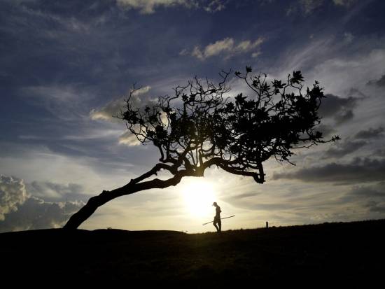 Komodo National Park, Indonesia © Our Place World Heritage  Collection