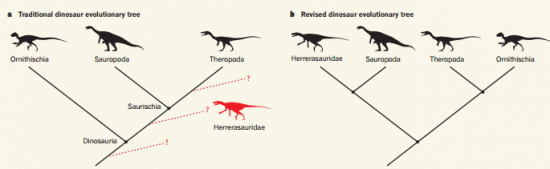 El árbol evolutivo de los dinosaurios. a) el tradicional b) Baron et al. propuesta de árbol evolutivo de los dinosaurios revisado