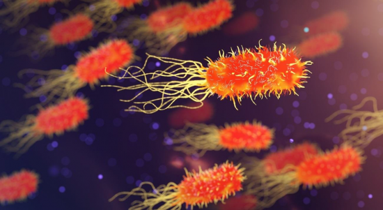 Bacterias en planta de residuos / CSIC