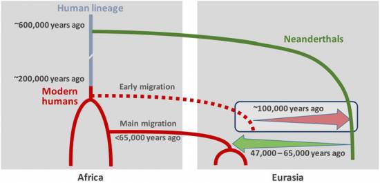 Escenario de cruce entre los humanos modernos y los neandertales / © Ilan Gronau